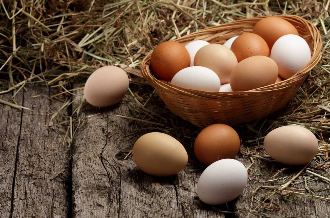 Beyaz mı kahverengi mi? Hangi yumurta daha sağlıklı? 22